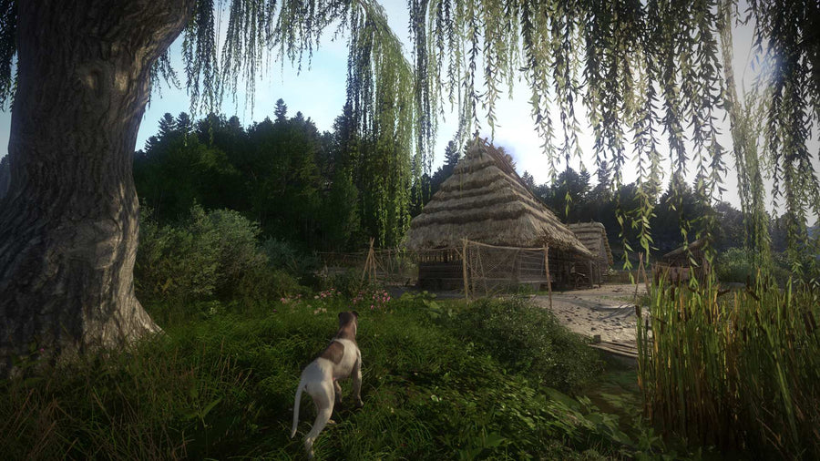 Captura de juego de Kingdom Come: Deliverance Royal Edition - PS4 - imagen 5