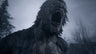 Captura de juego de Resident Evil Village - PS5 - imagen 2