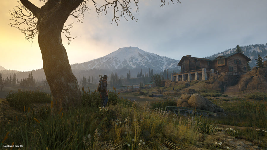 Captura de juego de Days Gone Digital Deluxe Edition - PS4 - imagen 2