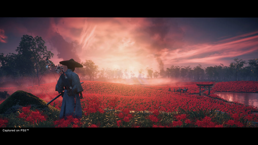 Captura de juego de Ghost of Tsushima DIRECTORS CUT - PS4 - imagen 2
