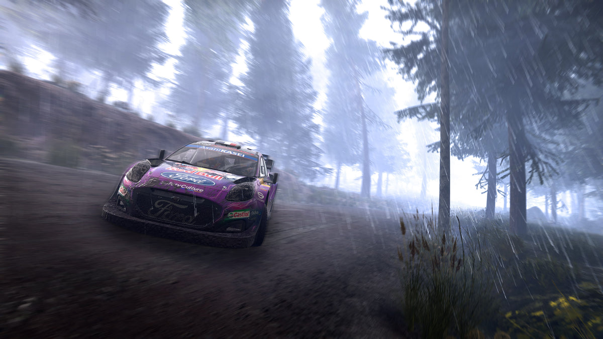 Captura de juego de WRC Generations – The FIA WRC Official Game - PS4 - imagen 2