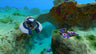 Captura de juego de Subnautica - Nintendo Switch - imagen 1