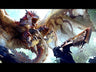 Tráiler de MONSTER HUNTER: WORLD - Xbox One